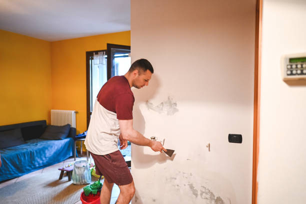 Best Mold Damage Repair  in Centre, AL